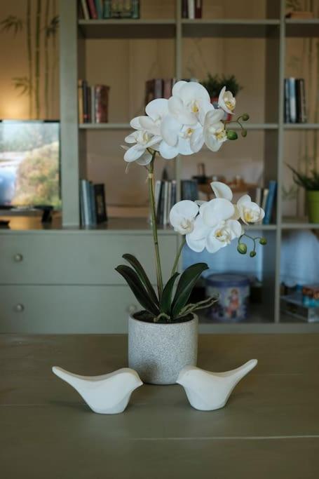 Apartment With Garden In Thessaloniki. Ngoại thất bức ảnh